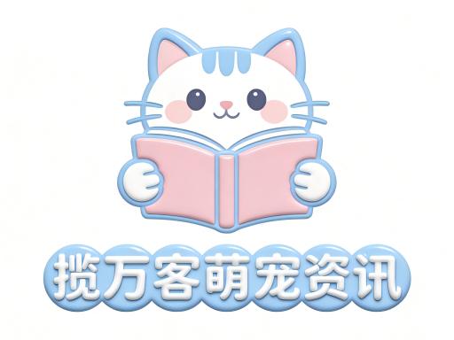 宠物医师的使命：在关爱与责任间寻求平衡